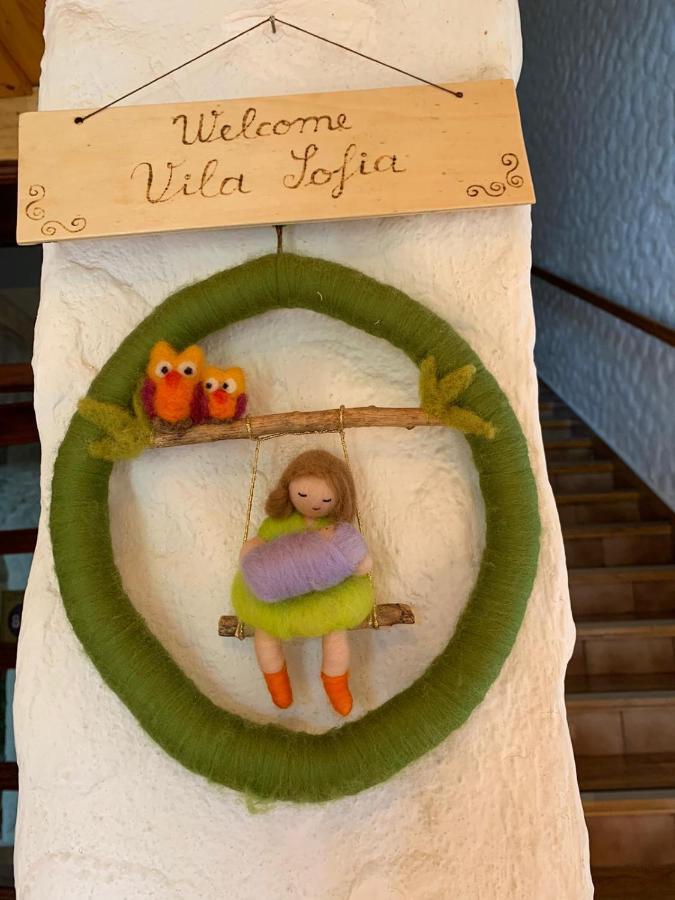 Vila Sofia Предеал Екстериор снимка