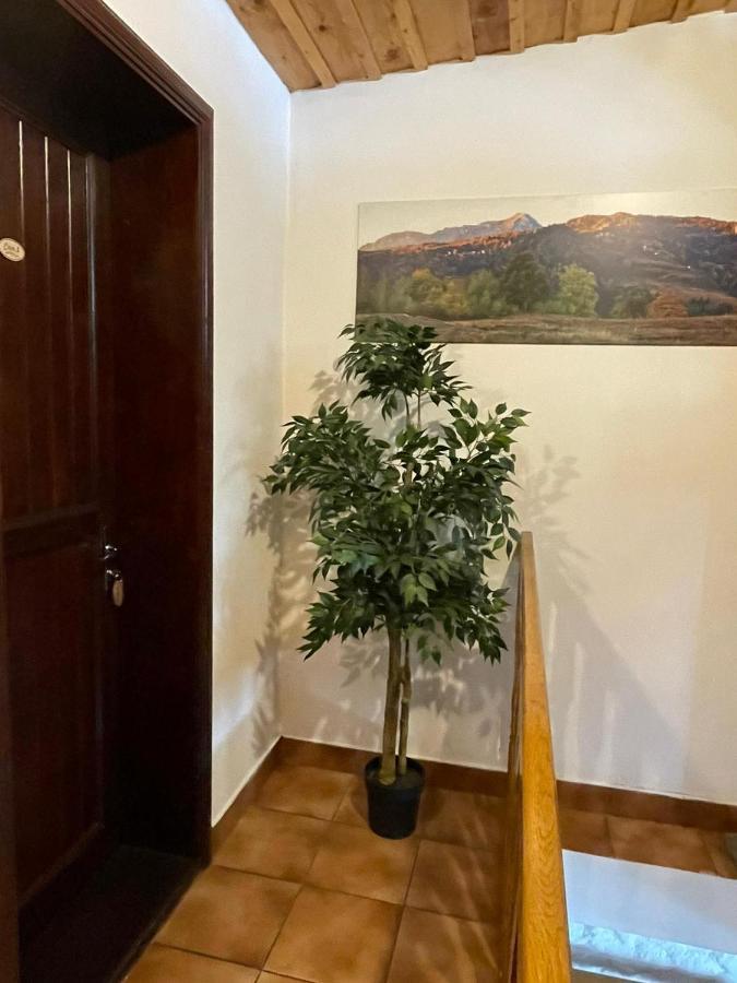 Vila Sofia Предеал Екстериор снимка