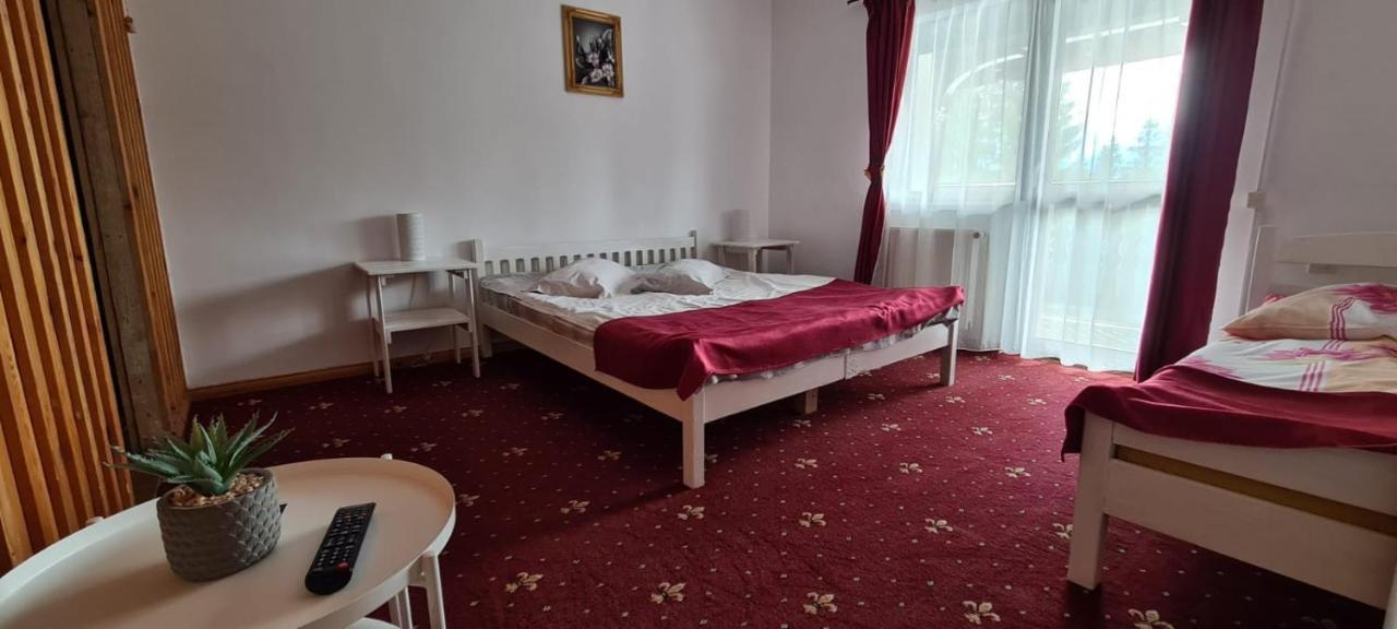Vila Sofia Предеал Екстериор снимка